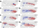 Spread patterns of all 8 gene segments of highly pathogenic avian influenza virus (H5N1), Bs/2021-like and Ws/2021-like reassortants, identified in migratory wild birds in China. Virus spread patterns reconstructed for 8 genes. A) polymerase basic 2 gene. B) polymerase basic 1 gene. C) polymerase acidic gene. D) hemagglutinin gene. E) nucleoprotein gene. F) neuraminidase gene. G) matrix gene. H) nonstructural protein gene. Blue indicates spread patterns of Ws/2021-like and red indicates spread patterns of Bs/2021-like H5N1. The spread patterns were adjusted by interpolating the ancestral space-time points by every 3 months from December 2020 through November 2021. Arrows represent the inferred ancestral locations at corresponding interpolated time (at 3-month intervals going back along their inferred transmission routes), and filled ellipses represent the 95% uncertainty of the inferred ancestral locations.