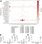 Identifying pathogen reads from controls and museum-archived tissue samples for study of prospecting for zoonotic pathogens by using targeted DNA enrichment. Control reads are indicated by the percentage of pathogen DNA 1% or 0.001%. A) Reads were compared with a database of target loci and assigned a taxonomic classification based on these results. Reads were assigned to 93 genera; of those, 17 (shown) were present in >1 sample, including controls, with ≥1,000 reads. A heatmap of those results shows the relative proportion of reads assigned to each genus. Details of samples are provided in Table 2. B–D) Coverage at each probed locus is shown across all control samples for Mycobacterium (B), Plasmodium (C), and Schistosoma (D). Each point in the chart is coverage calculated at a single target locus. Horizontal lines within boxes indicate medians, box tops and bottoms indicate lower and upper quartiles, and whiskers represent minimum and maximum values, excluding outliers. Each sample is indicated with a circle. E, enriched.