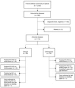 Flowchart for arboviral-like disease diagnoses among French Defense Community in Djibouti, 2019–2020. *Number of samples tested was limited because RT-PCR of whole blood was introduced in Djibouti City 1 month after the start of the chikungunya outbreak. Ag, antigen; NS1, nonstructural protein 1; RT-PCR, reverse transcription PCR.