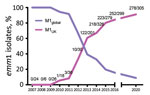 Prevalence of M1UK and M1global Streptococcus pyogenes lineages over time in study of emerging invasive group A Streptococcus M1UK lineage detected by allele-specific PCR, England, 2020. We determined percentages of emm1 isolates in England that belonged to M1UK or M1global lineages by using all available emm1 S. pyogenes genome sequences for 2007–2016 (4) and all available invasive isolates from 2020 that we tested by allele-specific PCR. Numbers on graph indicate number of isolates assigned as M1UK/total number sequenced for each year. Graph was adapted and updated from data previously described (4).