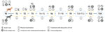 Schematic design of study of elimination of Dirofilaria immitis infection in dogs, Linosa Island, Italy, 2020, and follow-up examinations. G1, infected group; G2, noninjected group; T, time after start of elimination program, in months. Boldface indicates follow-up visits.