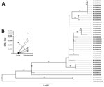 Phylogenetic analysis of study participants persistently infected with Zika virus, Brazil. A) Maximum-likelihood phylogenetic tree of persistent samples. The phylogenetic tree shows all 10 participants with confirmed persistent infection. Boldface indicates participant identification numbers; visit numbers (V) are indicated. Multiple identification numbers represent multiple genomes obtained from the same participant at different time points. Scale bar indicates number of nucleotide substitutions per site. Numbers on the branches indicate Shimodaira–Hasegawa approximate likelihood ratio test after 1,000 replicates. B) Neutralizing antibody titers from acute and convalescent samples, as analyzed from persistently infected participants. MN50, 50% microneutralization.