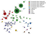 Population structure of Enterobacter spp. isolates identified in a genome-based epidemiologic analysis of VIM/IMP carbapenemase-producing Enterobacter spp., Poland, 2006–2019. The minimum-spanning tree was constructed on the basis of 7-loci multilocus sequence type data. Each circle represents 1 ST, and each fragment of a pie chart corresponds to 1 isolate. The size of a circle is proportional to the number of isolates of that ST. Connecting lines infer phylogenetic relatedness in terms of several allelic differences (thick solid line indicates a single-locus variant, thin solid line indicates a double-locus variant). ST, sequence type.