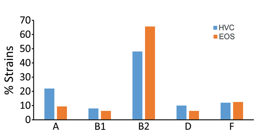 Phylogroup distribution among 32 EOS Escherichia coli strains from neonates and 50 HVC strains, France. No significant difference was observed in each group. EOS, early-onset neonatal sepsis; HVC, healthy vaginal carriage.