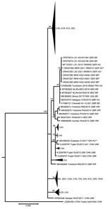 Phylogenetic tree of partial large segment Seoul virus sequences from humans and rats, Germany. Segments were 412-nt long, positions nt 2919–3330 based on reference sequence (KM948594_Cherwell_GBR_BR). The partial large segment Bayesian tree was reconstructed using 20 million generations and the Hasegawa-Kishino-Yano substitution model with gamma distribution and invariant sites. Single asterisks indicate sequences from this study, denoted by their GenBank accession numbers. Double asterisks indicate sequence from the imported Seoul virus case from Indonesia (9). Aa, Apodemus agrarius; BEL, Belgium; BEN, Benin; BR, breeder rat (includes feeder, lab, and pet rats); CAM, Cambodia; CHN, China; FRA, France; GBR, Great Britain; GER, Germany; HTNV, Hantaan virus; HU, human; IDN, Indonesia; KOR, Korea; L, large segment; NED, the Netherlands; Rn, Rattus norvegicus; RUS, Russia; SEN, Senegal; SEOV, Seoul virus; SWE, Sweden; UNK, unknown wild or breeder rat; USA, United States of America; VNM, Vietnam; WR, wild rat.