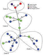 Phylogenetic relationships between 23 t991 MRSA genomes isolated in Israel and Germany. The figure shows a minimum spanning tree, created in Bionumerics software (https://www.bionumerics.com), based on 3,904 wgMLST allele IDs of sequenced t991 MRSA isolates. Each node represents an isolate; numbers along branches connecting nodes indicate the numbers of allelic differences between isolates. The isolates are further divided into 4 clades (A–D). MRSA, methicillin-resistant Staphylococcus aureus; wgMLST whole-genome multilocus sequence typing.