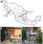 Collection of Ornithodoros turicata ticks from village of Camayeca, Mexico. A) Location in the state of Sinaloa where 22 ticks were collected (left arrow). Also labeled is the state of Aguascalientes, where we recently collected O. turicata ticks (right arrow). B) Collection efforts were focused in peridomestic settings C) Ticks were aspirated from the base of a human dwelling; white arrow indicates where ticks were collected.