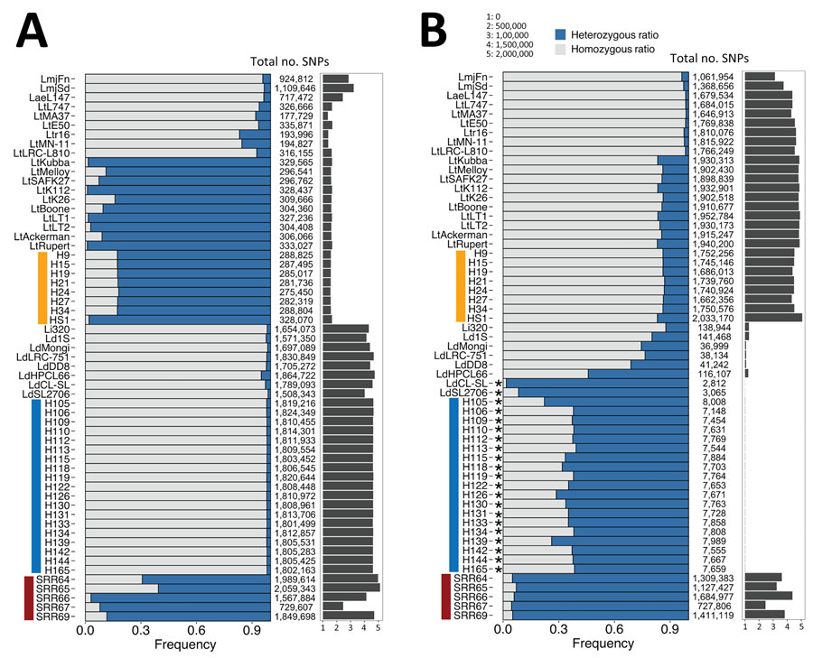 Frequency of genomewide heterozygous and homozygous SNPs in all genomes analyzed and presented as percent stacked bars after mapping sequencing reads from Leishmania spp. isolates from Sri Lanka. A) Mapped to L. tropica L590. B) Mapped to L. donovani cutaneous leishmaniasis reference genome. The total number of SNPs detected using the PAINT software suite (16) is shown to the right of the main plot. Vertical bars at left: blue, L. donovani; orange, L. tropica; red, interspecies hybrids. Asterisks, the biased heterozygosity profiles of L. donovani genomes that are highly similar to the reference genome (LdCL-SL), resulting in a low number of SNPs. SNP, single-nucleotide polymorphism.