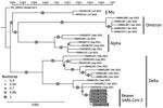 Phylogenetic tree of SARS-CoV-2 identified from beavers and humans in Mongolia (gray boxes) and reference sequences. The circle size indicates the bootstrap values at the node. The vertical bar shows the genetic distance. SARS-CoV-2 lineages are identified at right. GenBank accession numbers and date identified are shown for reference sequences; the newly obtained sequence data were deposited in GenBank (accession nos. OR389473–7).