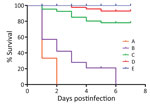 Survival rates for Chinese sturgeon experimentally inoculated with Yersinia ruckeri strain zhx1 isolated from artificially bred Chinese sturgeon offspring, China, 2022. Fish were injected with 0.1 mL of bacterial suspension at the base of the ventral fin at concentrations of 108 (group A), 107 (group B), 106 (group C), or 105 CFU/mL (group D) or with 0.1 mL phosphate-buffered saline as control (group E).