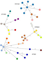 Minimum spanning tree of core-genome multilocus sequence types profiles from the 4 most prevalent 7-gene multilocus sequence type–based ST isolated from poultry in Tanzania, 2016–2017, in a study of Campylobacter jejuni and C. coli, east Africa. Each color represents a different farm, with the exception of 4 ST353 isolates from human cases (dark blue). Core genome multilocus sequence type allele differences are indicated on each branch. The 2 pairs of isolates from different farms with the lowest number of allele differences, belonging to ST8043 (24 allele differences) and ST2122 (38 allele differences) (shown in brown and light pink) were from 2 farms in the same location in Luongo, Moshi. One was an intensive indigenous farm (light pink isolates), and the other was an intensive broiler farm (brown isolates). ST, sequence type.