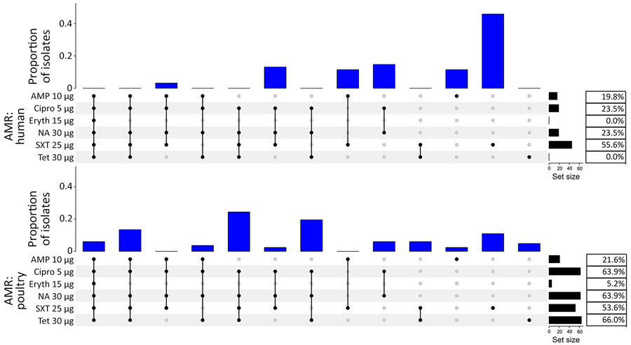 Distribution of different combinations of AMR in Campylobacter jejuni and C. coli human isolates from Kenya (top, n = 81) and poultry isolates from Tanzania (bottom, n = 97) in study of population structure and AMR in C. jejuni and C. coli isolated from humans with diarrhea and from poultry, East Africa, 2006–2017. The percentage of isolates resistant to each antimicrobial is given in the table to the right of each plot. All isolates were susceptible to gentamicin. The histogram represents proportion of isolates by antimicrobial resistance pattern. Black dots represent AMR and gray dots represent absence of AMR to the specific antimicrobial agent listed. Black lines join black dots to visualize patterns of AMR. AMP, ampicillin; AMR, antimicrobial resistance; Cipro, ciprofloxacin; Eryth, erythromycin; NA, nalidixic acid; SXT, trimethoprim/sulfamethoxazole; Tet, tetracycline.