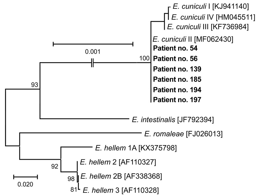 Phylogenetic analysis of Encephalitozoon cuniculi genotypes recovered from cerebrospinal fluid of immunocompetent patients, Czech Republic. Bold indicates sequences obtained in this study, identified by patient number. Sequences for comparisons were obtained from GenBank; accession numbers are in brackets. Tree was constructed by using the maximum-likelihood method. Partial sequences of 16S rRNA gene, the entire internal transcribed spacer region, and a partial sequence of 5.8S rRNA gene were inferred by using neighbor-joining analyses, and relationships were computed by using the Tamura 3-parameter method with gamma distribution and parametric bootstrap analysis of 1,000 replicates in MEGA X software (MEGA, https://www.megasoftware.net). Scale bar indicates nucleotide substitutions per site.