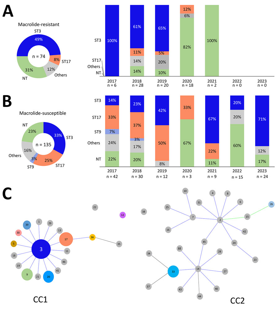 Relationships between year of isolation, ST, and genotype distribution in a study of macrolide-resistant Mycoplasma pneumoniae infections among children before and during the COVID-19 pandemic, Taiwan, 2017–2023. A) Macrolide-resistant M. pneumoniae isolates (n = 74) and 5 identified STs: ST3, ST17, ST26, ST33, and ST36. Macrolide resistance substantially decreased after 2021. ST3 was the predominant strain in macrolide-resistant isolates, especially during 2017–2019. B) Macrolide-susceptible M. pneumoniae isolates (n = 135) and 10 identified STs: ST3, ST17, ST9, ST5, ST12, ST20, ST30, ST33, ST39, and ST46. ST17 was the predominant strain during 2017–2019. ST3 was the most common strain and was distributed across all years. C) The relationship between M. pneumoniae CC and ST depicted by goeBURST (https://phyloviz.readthedocs.io/en/latest/data_analysis.html). The data, comprising 144 strains from Taiwan (2017–2023) and previously reported STs (shown in gray) from PubMLST (https://pubmlst.org), demonstrate the genetic relationships within the dataset analyzed by the goeBURST algorithm. The size of each circle is proportional to the number of isolates for each ST, and most STs belonged to CC1, including the leading 2 STs, ST3, and ST17. Green sections indicate M. pneumoniae strains could not be successfully identified using multilocus sequence typing. CC, clonal complex; NT, nontypable; ST, sequence type.