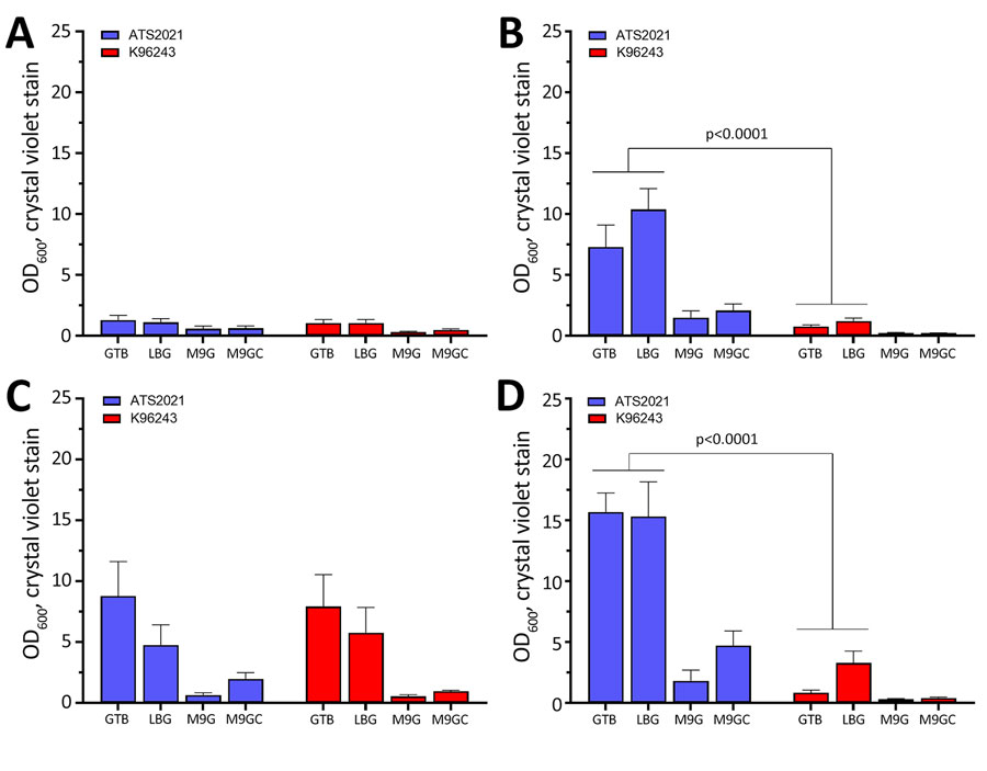 Biofilm formation of Burkholderia pseudomallei strains ATS2021, the causative strain in an an outbreak of 4 cases, 2 of them fatal, in the United States in 2021, and K96243 under multiple test conditions. Biofilm formation of both strains was assessed by crystal violet staining as measured by OD600. A) One day at room temperature; B) 1 day at 37°C; C) 2 days at room temperature; D) 2 days at 37°C. Error bars represent the SEs from mean values determined from 3 separate assays. p values determined by linear mixed effects model. M9G, M9 + glucose; M9GC, 0.2% glucose to M9 and casamino acids; OD600, optical density at 600 nm.