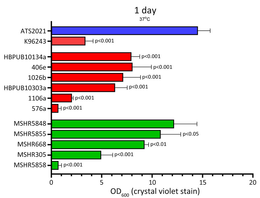 Biofilm production for Burkholderia pseudomallei strain ATS2021, the causative strain in an outbreak of 4 cases, 2 of them fatal, in the United States in 2021, in relation to other previously characterized B. pseudomallei clinical isolates. Biofilm formation of bacterial strains was assessed by crystal violet staining as measured by OD600. Biofilm was allowed to form after static growth in LB+4% glycerol for 1 day at 37°C. Clinical isolates used in this assay originated from Thailand (red bars) or Australia (green bars). Error bars represent the SEs from mean values determined from 4 independent assays. ATS2021 formed significantly more biofilm under these conditions compared to all isolates except MSHR5848 as determined by a linear mixed effects model. OD600, optical density at 600 nm. 