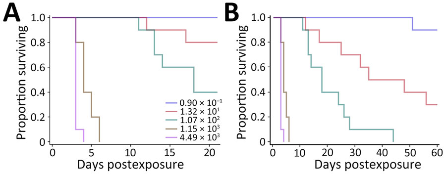 Kaplan-Meier survival plots calculated for C57BL/6 mice exposed to aerosolized Burkholderia pseudomallei ATS2021, the causative strain in an outbreak of 4 cases, 2 of them fatal, in the United States in 2021. A) Survival after 21 days; B) survival after 60 days. N = 10 per aerosolized dose of B. pseudomallei. The day 21 survival rates from highest to lowest calculated inhaled dose of B. pseudomallei ATS2021 (4,490 CFU, 1,150 CFU, 107 CFU, 13 CFU, 1 CFU) as depicted in panel A are 0/10, 0/10, 4/10, 8/10, and 10/10. The day 60 survival rates from highest to lowest calculated inhaled dose of B. pseudomallei ATS2021 as depicted in panel B are 0/10, 0/10, 0/10, 3/10, and 9/10.