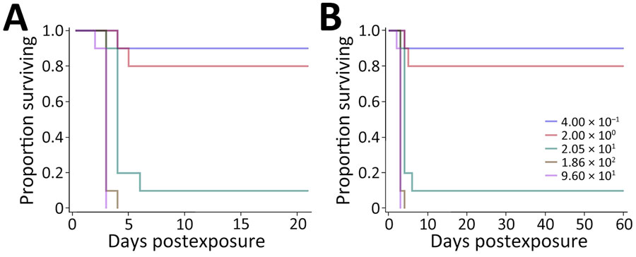 Kaplan-Meier survival plots calculated for BALB/c mice exposed to aerosolized Burkholderia pseudomallei ATS2021, the causative strain in an outbreak of 4 cases, 2 of them fatal, in the United States in 2021. A) Survival after 21 days; B) survival after 60 days. N = 10 per aerosolized dose of B. pseudomallei. The day 21 survival rates from highest to lowest calculated inhaled dose of B. pseudomallei ATS2021 (960 CFU, 186 CFU, 21 CFU, 2 CFU, 0.4 CFU) as depicted in panel A are 0/10, 0/10, 1/10, 8/10, and 9/10. The day 60 survival rates as depicted in panel B are 0/10, 0/10, 1/10, 8/10, and 9/10.