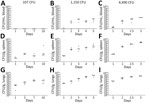 Serial sampling experiment to investigate bacterial dissemination in blood, spleens, and lungs of C57BL/6 mice at different challenge doses of aerosolized Burkholderia pseudomallei strain ATS2021, the causative strain in an an outbreak of 4 cases, 2 of them fatal, in the United States in 2021. C57BL/6 mice were estimated to have inhaled various doses on day 0. A subset of mice was then deeply anesthetized for a terminal blood collection, euthanized, and then the spleens and lungs were removed to determine the bacteriologic burden in each organ at each time point indicated. Bacterial counts are shown for whole blood (A–C), spleen homogenate (D–F), and lung homogenate (G–I). N = 4 for each time point. The CFU burden is shown for each mouse; the geometric mean is depicted with the horizontal bar. Limit of detection is ≈100 CFU/mL of blood and 5 CFU/organ.