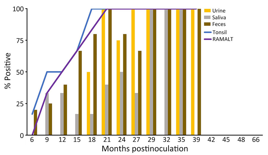 Percentage of prion-positive samples from white-tailed deer with chronic wasting disease that had the prion protein genotype 96GG in study of prion shedding in secreta, United States. Tissue samples and secreta were collected from deer after exposure to low oral doses of chronic wasting disease–positive brain tissue or saliva. RAMALT, recto-anal mucosa-associated lymphoid tissue.