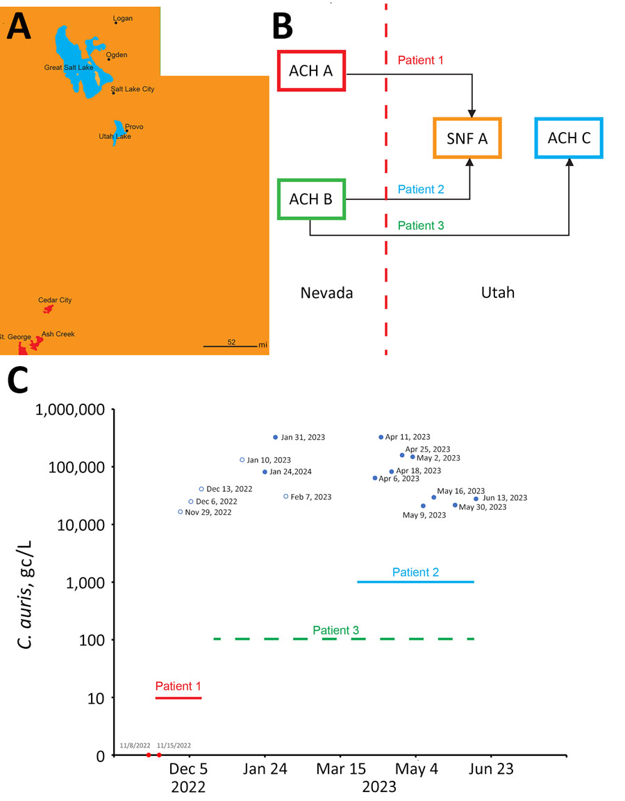 Transfer of Candida auris cases from Nevada to St. George, Utah, USA, and quantitative PCR monitoring of C. auris concentrations at the St. George wastewater treatment plant. A) Utah (borders in green) showing the sewersheds of St. George, Ash Creek, and Cedar City. The western border of Utah is adjacent to Nevada. Scale bar indicates 52 miles. B) Interstate transfers from Nevada to Utah of 3 patients with C. auris infection (red dash line represents the state border). C) Sampling dates and corresponding C. auris concentrations in wastewater treatment plant influent samples expressed as gc/L, over the time of the study. Nondetected samples are indicated as solid red dots, positive samples with concentrations less than the limit of quantification are indicated as empty blue dots, and positive samples with concentration at or equal to the limit of quantification are indicated as solid blue dots. The patient time frames are indicated by horizontal lines. The line for patient 3 is dashed to indicated that the person commuted continuously between Nevada and Utah. ACH, acute-care hospital; gc, gene copies; SNF, skilled nursing facility.