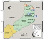 Study areas (green dots) in Misiones Province and part of Corrientes Province (first-level subnational administrative division) in study of orthohantavirus, northeastern Argentina. The Selva Paranaense (Alto Paraná Atlantic Forest) ecoregion is shown in green and Campos y Malezales (savanna-like ecoregion) is shown in yellow. Mouse icons indicate the sites where seropositive Oligoryzomys sp. rodents (in orange) and Akodon affinis montensis mice (in blue) were detected.