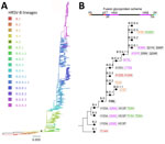 Human respiratory syncytial virus B lineages classification. A) HRSV-B maximum-likelihood phylogenetic tree (1,385 sequences), colored according to lineage classification. Black star indicates B.D lineage, defined by the 60-nt duplication in the G gene. Scale bar indicates substitutions per site. B) Simplified scheme of the lineage designation to highlight the presence of nested lineages. The amino acid changes in the F glycoprotein are listed next to lineage name and colored according to their location in the fusion protein. 