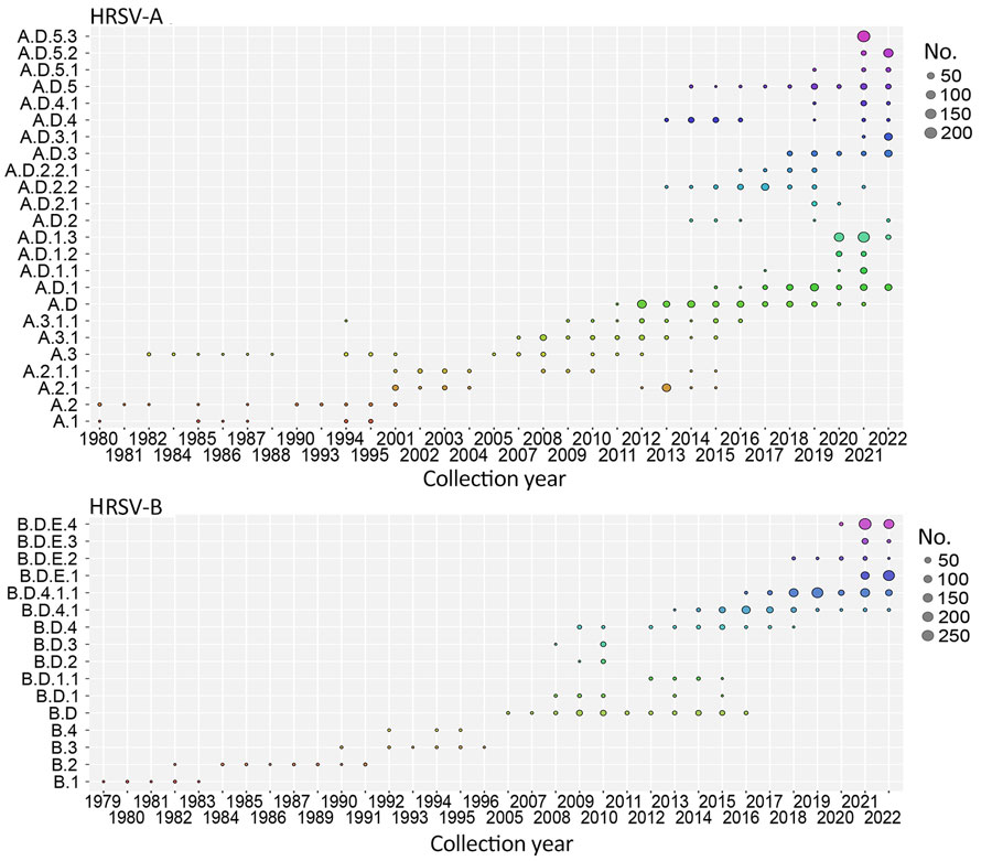 Temporal distribution of HRSV-A and HRSV-B lineages. A total of 2,744 HRSV-A genomes and 2,443 HRSV-B genomes available in public databases through March 2023 were included. HRSV, human respiratory syncytial virus.