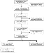 Flowchart of participant enrollment, virologic screening, and HCV treatment in an economic analysis of a national program for hepatitis C elimination, Israel, 2023. HCV, hepatitis C virus.