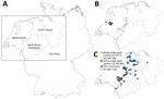 Sampling locations and infection sites in study of BTV-3 and SBV in Culicoides biting midges, western Germany, 2023. A) Overview map of Germany and the Netherlands showing North Rhine-Westphalia and Lower Saxony study areas. B) BTV-3 cases in the Netherlands (blue dots) as of September 8, 2023, and locations of UV light traps (white dots) along the border between Germany and the Netherlands. C) BTV-3 infections in ruminants (blue dots) reported to the animal disease reporting system in Germany as of April 18, 2024, and geographic assignment of farms with biting midge pools that tested positive for BTV-3 and SBV RNA (yellow dot) and those with pools only positive for SBV RNA (red dots). BTV-3, bluetongue virus serotype 3; SBV, Schmallenberg virus. 