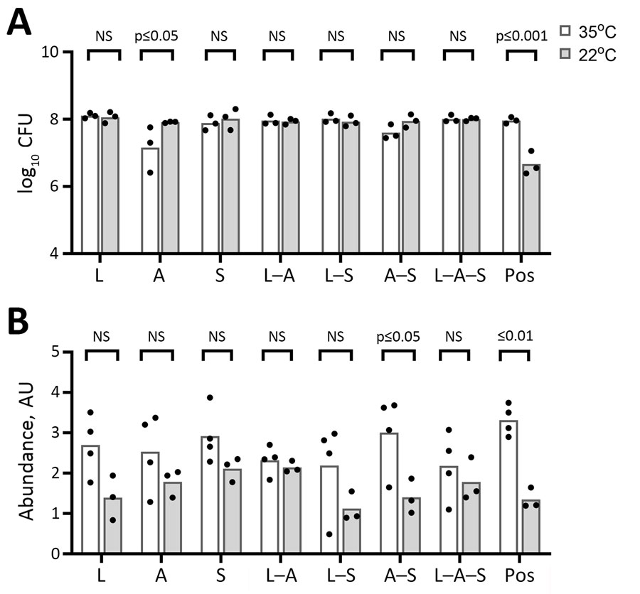 Effects of different incubation temperatures (22°C vs. 35°C) on biofilm CFU recovered (A) and CV biofilm formation (B) on platelet bag coupons after 24 hours of incubation in APH PLT. Baseline readings of TSBG and APH PLT with no bacteria were subtracted from the readings at OD550. Incubation temperature showed no significant effect on quantitative monomicrobial or polymicrobial bacterial growth in APH PLTs, except for Acinetobacter spp. alone, which was lower at 35°C. There was a trend of decreased bound CV at room temperature for all bacteria, but only the Acinetobacter spp./S. saprophyticus combination showed statistically significant reduction between 35°C and 22°C. Each dot represents an individual biologic replicate inoculated with the corresponding monomicrobial or polymicrobial bacterial species. A, Acinetobacter spp.; APH PLT, apheresis platelets; AU, absorbance unit; CV, crystal violet; L, Leclercia adecarboxylata; NS, not significant; OD, optical density; pos, positive control (Staphylococcus epidermidis); S, S. saprophyticus; TSBG, tryptic soy broth–glucose.