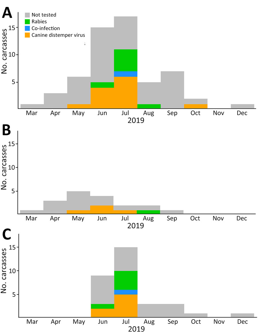 Location of Ethiopian wolf carcasses found in the Bale Mountains in a study of concurrent rabies and canine distemper outbreaks, Ethiopia, 2019. Shades of blue represent the kernel density distribution of all observed carcasses. Arrows indicate the direction of spread of infections as revealed by positive cases of each disease through time and across subpopulations. CDV, canine distemper virus. 