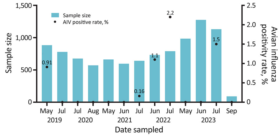 Monthly sample sizes and positivity rates from fecal sample collection for surveillance of AIVs at Qinghai Lake, China. AIV, avian influenza virus. 