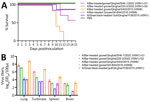 Mouse models of replication and pathogenicity of highly pathogenic H5 avian influenza viruses isolated from wild birds at Qinghai Lake, China. Each group of mice was inoculated intranasally at a dose of 106 EID50 of H5N1 (3 strains), H5N8, and H5N6 viruses. Mice in the control group were inoculated with PBS. A) Kaplan–Meier survival curve. B) Organ viral titers determined at 3 days postinoculation by measuring EID50 in organ tissue from infected mice. Three mice from each group were euthanized for organ tissue collection. EID50, 50% egg infectious dose; PBS, phosphate-buffered saline. 