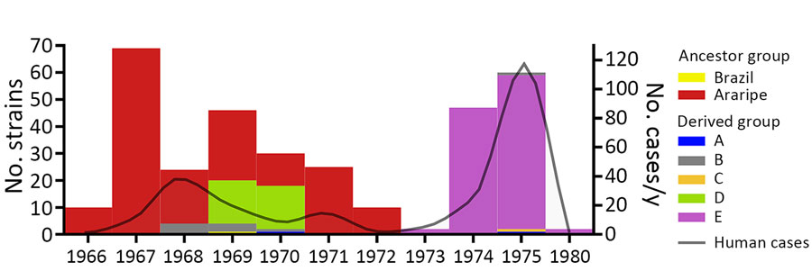 Temporal distribution of Yersinia pestis strains in a study of ecologic, geoclimatic, and genomic factors modulating plague epidemics in primary natural focus, Brazil. The graph shows genomic characterization of Y. pestis strains from this study compared with the number of human plague cases per year. Scales for the y-axes differ substantially to underscore patterns, but do not permit direct comparisons.