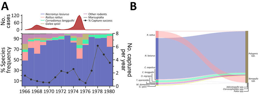 Diversity of rodent and flea species during distinct epidemiologic scenarios of plague in a study of ecologic, geoclimatic, and genomic factors modulating plague epidemics in primary natural focus, Brazil. A) Frequency of each rodent species on capture traps per year (left axis), yearly capture success (right axis) and human plague cases (red curve on top). B) Sankey diagram representing the distribution of rodents and other small mammal hosts according to the flea species and frequency. 