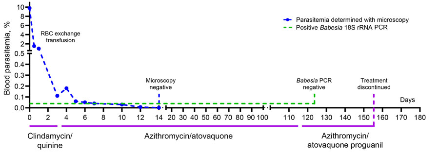 Clinical evolution of illness and treatment in case-patient with autochthonous human babesiosis caused by Babesia venatorum, the Netherlands. RBC, red blood cell. 