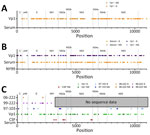 Consensus sequences for lineage 1 and lineage 3 WNV in serum and after Vp1 in samples from a patient with neuroinvasive disease and evidence of lineage 1 and 3 WNV infection, Nebraska, United States, 2023. Lineage 1 and lineage 3 WNV are distinct at the consensus level compared with Vp1 and historical strains. A, B) The consensus sequence of lineage 1 WNV in serum was compared with that of Vp1 (A), and those 2 sequences were then compared with the prototypical North American lineage 1 WNV strain, NY99 (B). C) Serum lineage 3 WNV consensus sequence was compared with the partial lineage 3 WNV sequences determined from Vp1 and CSF and historical lineage 3 WNV strains. C, capsid; CSF, cerebrospinal fluid; E, envelope; NS, nonstructural; prM, premembrane; Vp1, Vero passage 1; WNV, West Nile virus. 