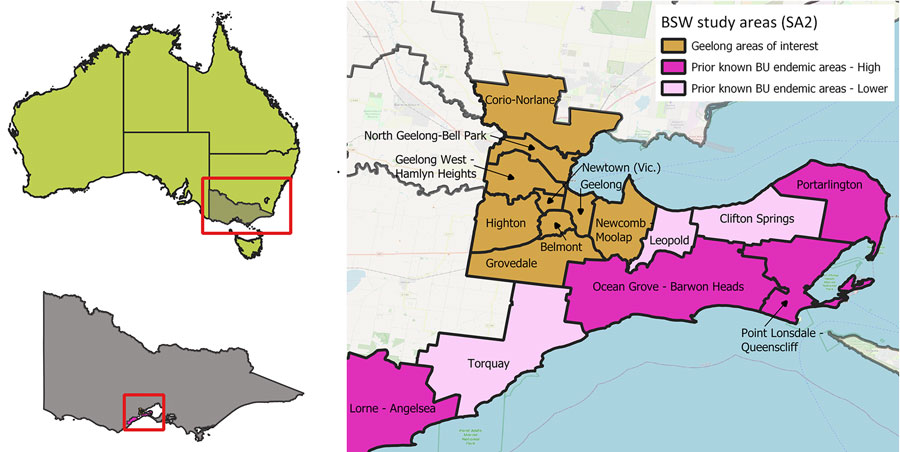 Location of central Geelong suburbs in Victoria, Australia, and prior known endemic areas in the Bellarine Peninsula and Surf Coast (higher case numbers dark pink, lower case numbers in light pink). We defined high incidence as >10 cases/100,000 population in 2017–2019. Belmont with the central Geelong suburbs also meets this criterion. SA2, Australian Bureau of Statistics Statistical Area 2.