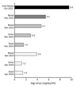 Human circovirus 1 viral loads in recently collected and archival samples (2023 and 2024) compared with viral load in initial liver biopsy (2022) from a hepatitis patient, Switzerland. Virus copies and log virus copies were also tabulated (Appendix Table 3).