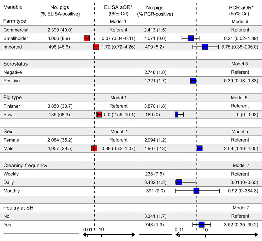 Multivariable analyses in a study of transmission of swine influenza A viruses along pig value chains, Cambodia, 2020–2022. We analyzed exposure variables for associations with ELISA-confirmed influenza A serostatus (red) and PCR-confirmed active infection (blue) at the individual-pig level. Boxes indicate mean, horizontal bars attached to boxes indicate 95% CrI, vertical dotted lines indicate aOR = 1. We estimated posterior aORs and 95% CrI, shown on a log scale, using Bayesian hierarchical regression models derived from a directed acyclic graph. *Model numbers indicated in aOR columns correspond to models described in Appendix Table 1. 95% CrI, 95% credible interval; aOR, adjusted odds ratios; SH, slaughterhouse.