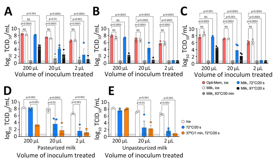 Heat treatment of influenza virus in milk. A–C) We diluted influenza A viruses in Opti-Mem control media (Fisher Scientific, https://www.fishersci.com) or commercial off-the-shelf pasteurized whole milk and heat-treated samples of different volumes at the times and temperatures shown; we calculated time from the moment the sample was placed in the heat block. A sandwich design in a heat block ensured uniform temperature exposure. After treatment, we chilled samples on ice for 5 minutes, adjusted them to a final volume of 200 μL, and titrated by TCID50 in MDCK cells (10). Results are shown for reverse genetics wild-type strain A/Puerto Rico/8/1934 (H1N1) (A); Vietnam/1203/04, a reverse genetics virus carrying the H5 hemagglutinin and N1 neuraminidase segments from A/Vietnam/1203/2004 (H5N1) in the background of PR/8/34, with the H5 segment modified with a monobasic cleavage site (Δ) (B); and a field isolate of the wild-type highly pathogenic strain A/turkey/Indiana/3707-003/2022 (H5N1) (C). D, E) A/Puerto Rico/8/1934 (H1N1) strain was spiked on pasteurized (D) and unpasteurized (E) milk samples at the times and temperatures shown. Circles indicate individual measurements; error bars indicate 95% CIs. Light gray shaded area indicates log10 TCID50 value of 1. NS, not significant; TCID50, 50% tissue culture infectious dose.