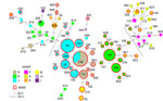 Minimum spanning tree based on sequence types (STs) and ompA of 298 Chlamydia trachomatis samples in study of clustering of specific polymorphic membrane protein E clade in C. trachomatis lineages from MSM, Japan. Each node indicates the ST number. SLVs and DLVs are linked. Samples from MSM are outlined in red, reflecting the proportion of samples in each node. The colors represent the ompA genotype. Nodes that contain several genotypes are shown as pie charts. Dashed lines are the assumed borders between the MSM and non-MSM lineages. DLV, double-locus variant; MSM, men who have sex with men; SLV, single-locus variant.