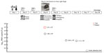 Timeline of SFTSV progression in a human patient in Japan and photograph of Haemaphysalis aborensis tick collected from the patient. WBC, white blood cells (leukocytes); PLT, platelets; SFTSV, severe fever with thrombocytopenia syndrome virus. 