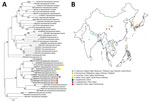 Phylogenetic tree (A) and geographic distribution (B) of 36 tick species from the genus Haemaphysalis. Bold indicates tick sequences analyzed in this study; Tick-Nagasaki indicates tick collected from a human patient in Japan who had severe fever with thrombocytopenia syndrome virus. Colors indicate locations where ticks have been found. We used 49 16S rRNA sequences to construct the maximum-likelihood tree based on 1,000 replicates in MEGA 11.0.13 (https://www.megasoftware.net). Bootstrap values are indicated next to the branches. Scale bar indicates nucleotide substitutions per site. 