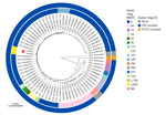 Genetic distance tree constructed to assess genetic relatedness among strains in study of Haemophilus influenzae type b (Hib) meningitis in infants, New York, New York, USA, 2022–2023. We constructed the tree using Mashtree (10) for Hib strains from the 2 New York patients (red asterisk) and reference sequences from GenBank (Appendix Table). Rings are color-coded to indicate MLST (inner ring) and CC (outer ring). Tree was rooted using the genome for NCTC 8468 (GenBank accession nos. GCA_90147285.1), a division II, sodC-containing Hib strain distantly related to other sequenced Hib isolates. Branch lengths represent mash distances. CC, clonal complex; MLST, multilocus sequence type; NA, not available.