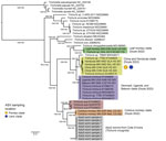 Phylogenetic analysis of Trichuris spp. from complete mitochondrial genome sequences in study of novel Trichuris incognita identified in patient fecal samples from Côte d’Ivoire. Tree was reconstructed by using the maximum-likelihood method for 12 mitochondrial protein coding genes from Trichuris spp. compared with sequences from GenBank. Tree was constructed by using IQ-TREE; alignments were made for the 12 protein coding genes from 45 mitochondrial genomes, including 8 T. incognita sequences obtained from an expulsion study of patients in Côte d’Ivoire (M.A. Bär et al., unpub. data, https://doi.org/10.1101/2024.06.11.598441). Ultrafast bootstrap/Shimodaira-Hasegawa–like branch support values >95/95 are indicated on branches. Color-shaded boxes indicate clades previously identified in the literature. Yellow (Pemba Island) and blue (Laos) colored circles indicate where the clades mapped according to cox-1, nad-1, and nad-4 mitochondrial ASVs. Scale bar indicates nucleotide substitutions per site. ASV, amplicon sequencing variant.