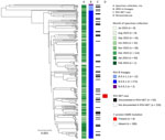 Midpoint-rooted, time-scaled phylogenetic tree of RSV-B whole-genome sequences, Minnesota, USA, October 2023–January 2024. Tree was generated using Interactive Tree of Life (https://itol.embl.de) software. Column annotations denote (from left to right) month of specimen collection, whole-genome lineage classification, documentation of the infected case in the RSV-NET surveillance database for RSV-associated hospitalizations, and the predicted nirsevimab resistance amino acid mutation K68N in the F protein gene sequence. Scale bar indicates estimated substitution rate calculated from inputs of time and phylogenetic distance. RSV, human respiratory syncytial virus; RSV-NET, Respiratory Syncytial Virus Hospitalization Surveillance Network.