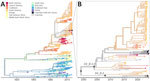 Time-resolved maximum-likelihood phylogeny of DENV-1 detected during an investigation of multiple virus serotypes and lineages during dengue outbreak, Valle del Cauca, Colombia, 2023–2024. The tree includes global DENV-1 sequences downloaded from GenBank and was constructed by using IQ-TREE (http://www.iqtree.org). A) Full reconstruction of 1,007 DENV-1 sequences from 1944–2024 colored by sampling location. B) Detail of the DENV-1V_D clade highlighting sequences from Valle del Cauca, Colombia (black) from 2023 through mid-2024. DENV, dengue virus.