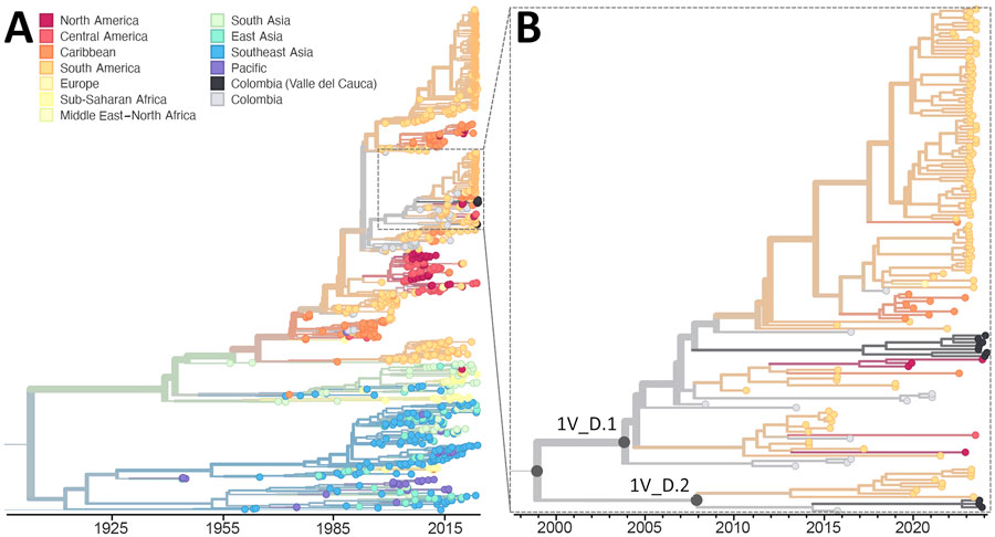 Time-resolved maximum-likelihood phylogeny of DENV-1 detected during an investigation of multiple virus serotypes and lineages during dengue outbreak, Valle del Cauca, Colombia, 2023–2024. The tree includes global DENV-1 sequences downloaded from GenBank and was constructed by using IQ-TREE (http://www.iqtree.org). A) Full reconstruction of 1,007 DENV-1 sequences from 1944–2024 colored by sampling location. B) Detail of the DENV-1V_D clade highlighting sequences from Valle del Cauca, Colombia (black) from 2023 through mid-2024. DENV, dengue virus.